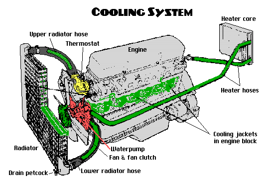 Engine Cooling System
