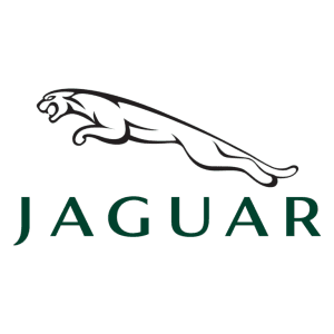 Jaguar major Service