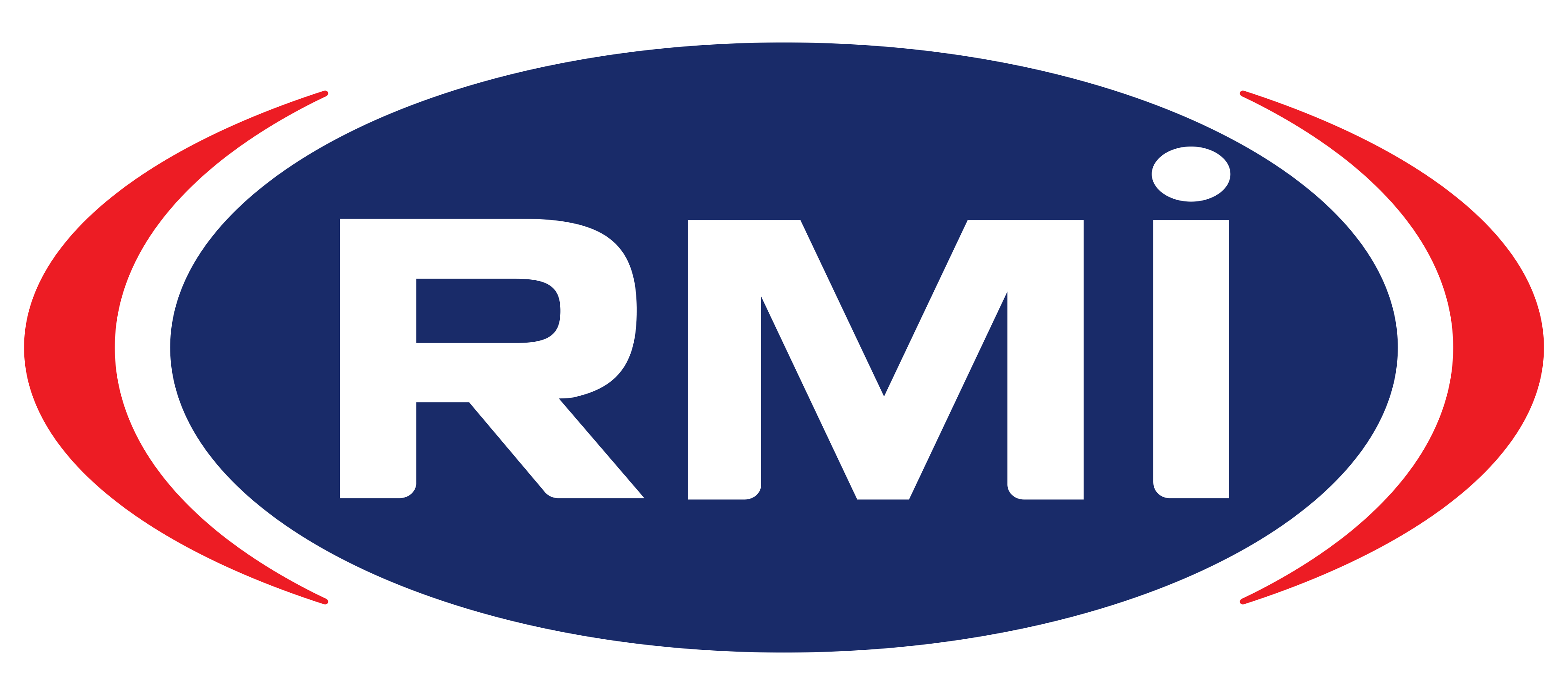 Michanic RMI